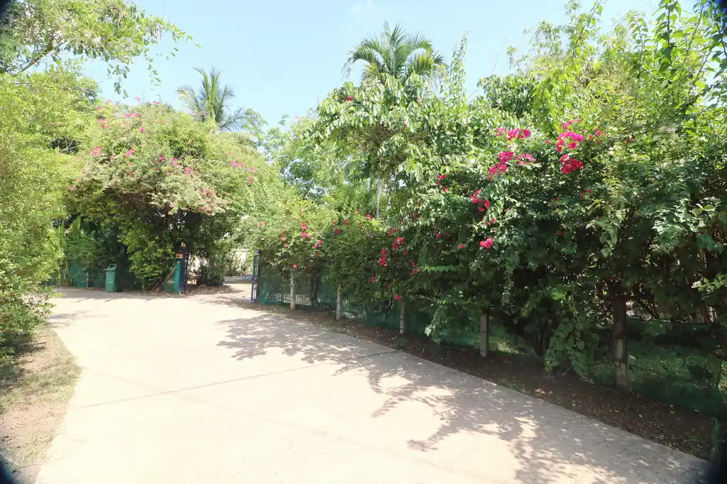 Charming garden home for sale, Nong Li Hu, Udon Thani, photo 3