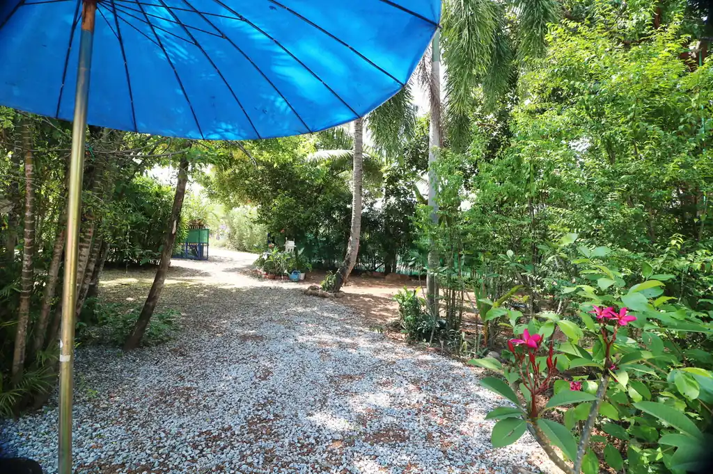 Charming garden home for sale, Nong Li Hu, Udon Thani, photo 6
