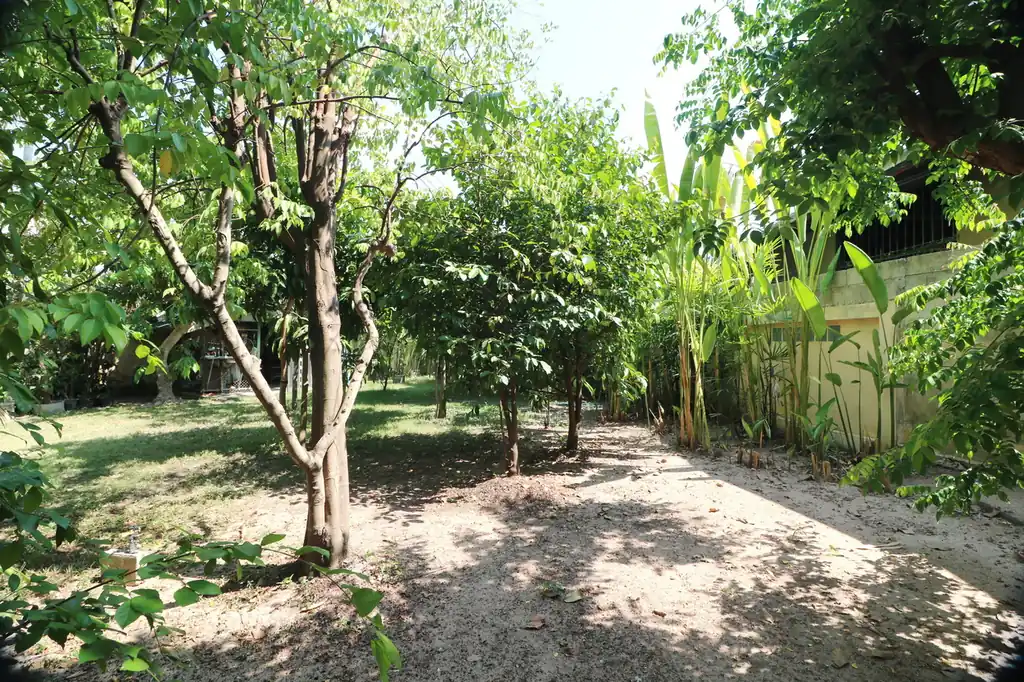 Charming garden home for sale, Nong Li Hu, Udon Thani, photo 9