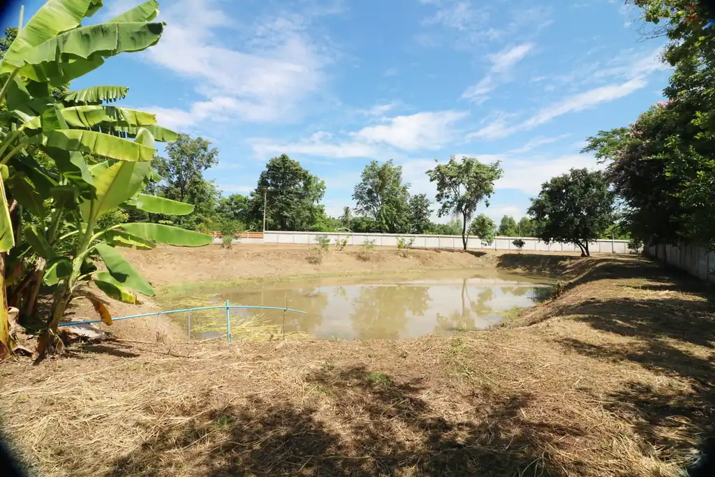 Modern elevated home on expansive 3+ rai land for sale – Phak Top, Nong Han, Udon Thani, photo 44