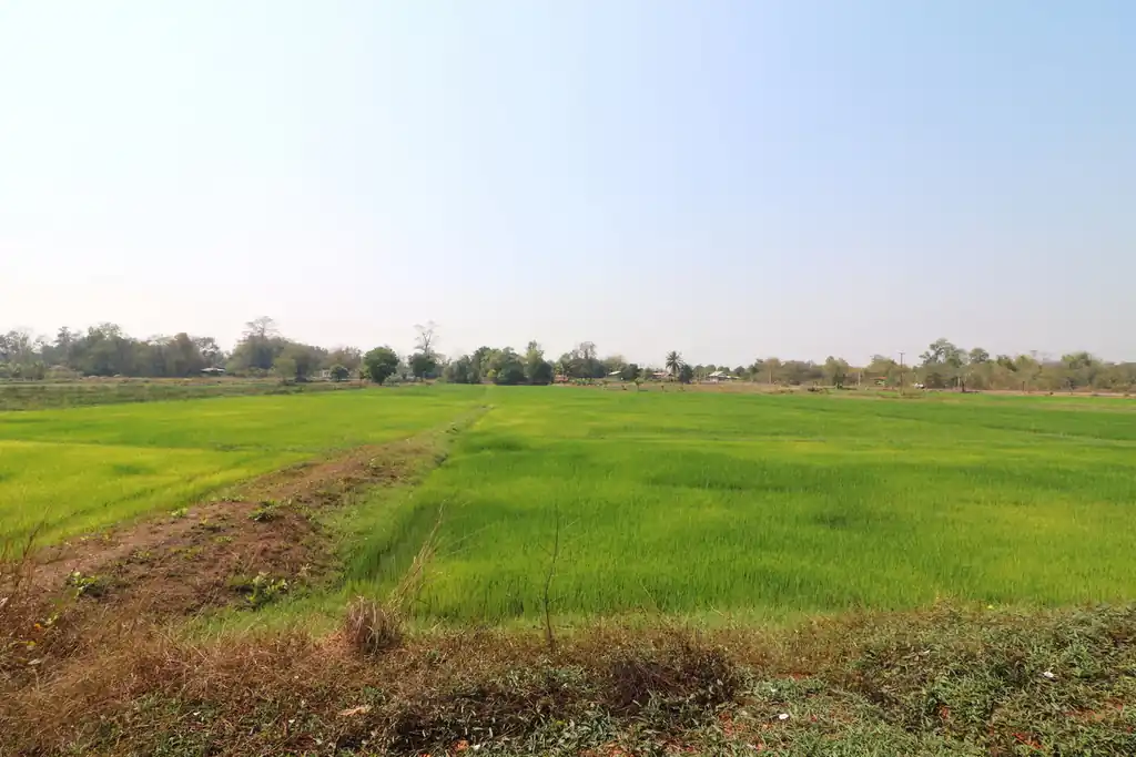 3 bedroom, 2 bathroom home on 3+ rai for sale near Tha Bo, Nong Khai, photo 30