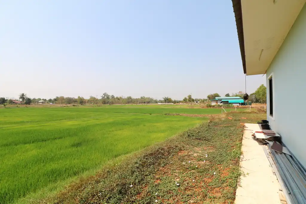 3 bedroom, 2 bathroom home on 3+ rai for sale near Tha Bo, Nong Khai, photo 31