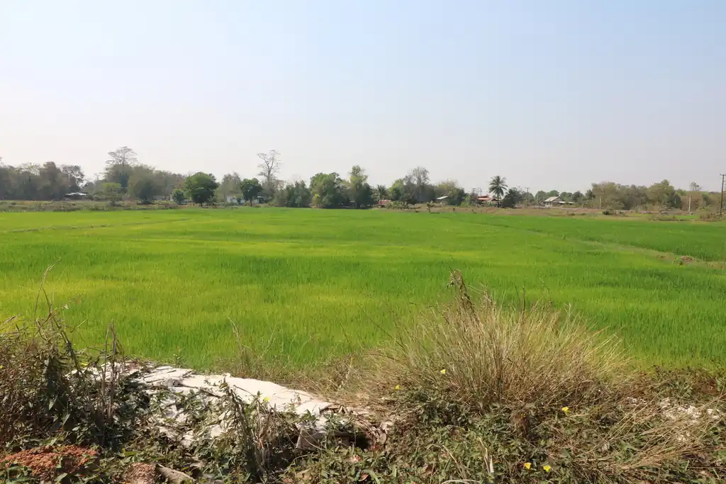 3 bedroom, 2 bathroom home on 3+ rai for sale near Tha Bo, Nong Khai, photo 5