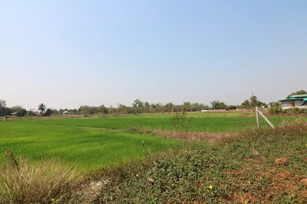 3 bedroom, 2 bathroom home on 3+ rai for sale near Tha Bo, Nong Khai, photo 6
