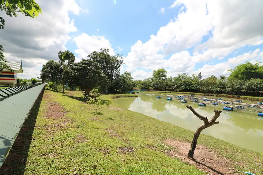 4 bedroom, 5 bathroom home and land for sale – about 6 rai – Wanon Niwat, Sakon Nakhon, photo 53