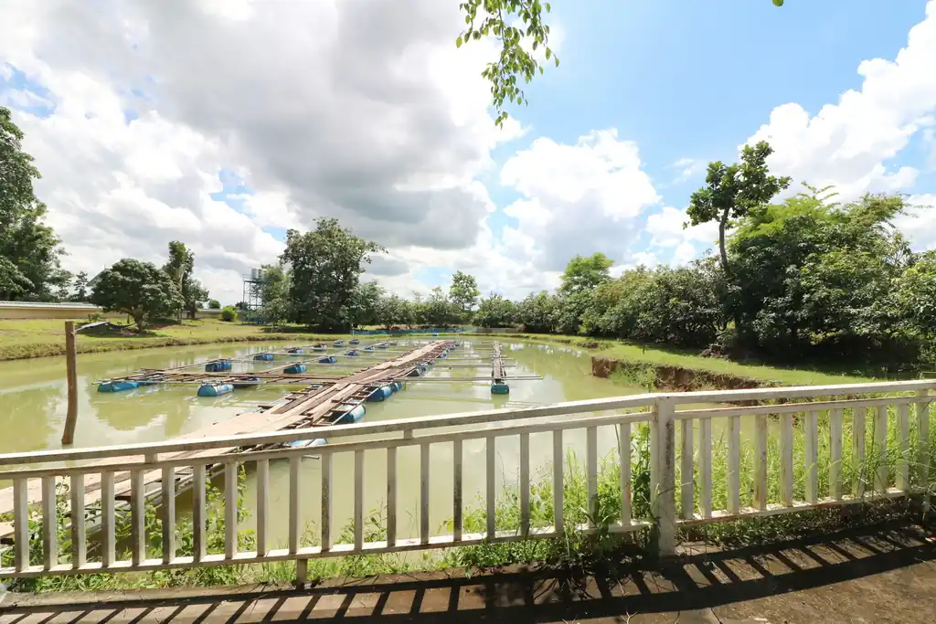 4 bedroom, 5 bathroom home and land for sale – about 6 rai – Wanon Niwat, Sakon Nakhon, photo 54