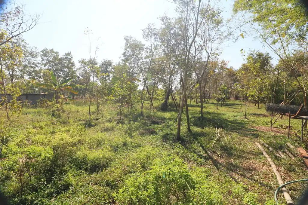 Authentic teak homes on 3+ rai of freehold land within Udon Thani city regions, photo 40