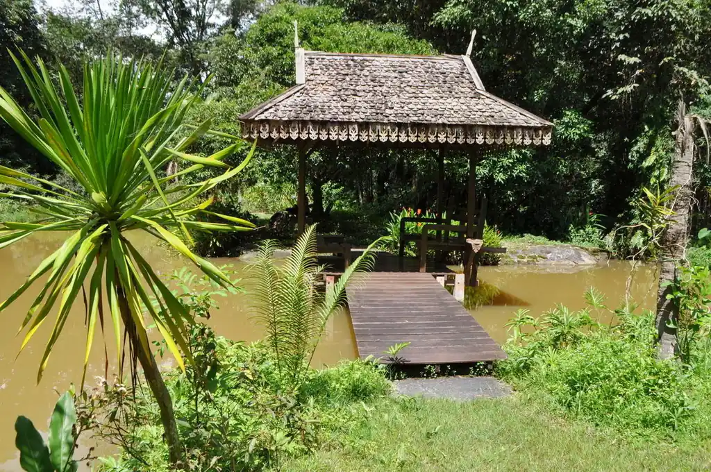 Forest hideaway for eco-tourism investors – retreat opportunity, Nakhon Phanom, photo 11