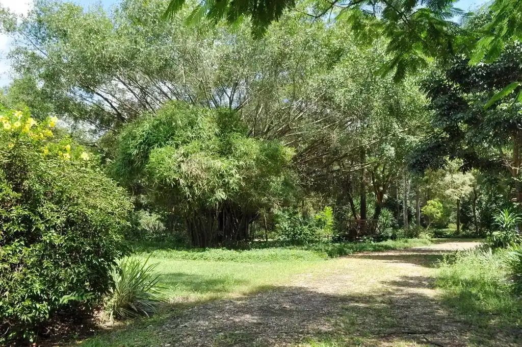 Forest hideaway for eco-tourism investors – retreat opportunity, Nakhon Phanom, photo 13