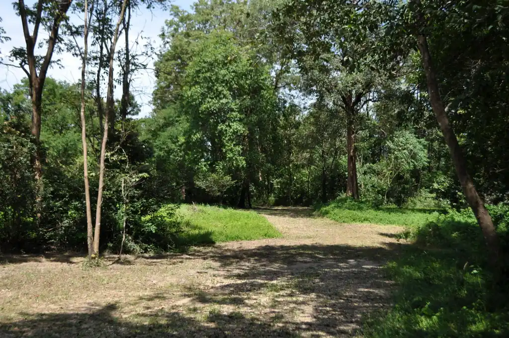 Forest hideaway for eco-tourism investors – retreat opportunity, Nakhon Phanom, photo 14