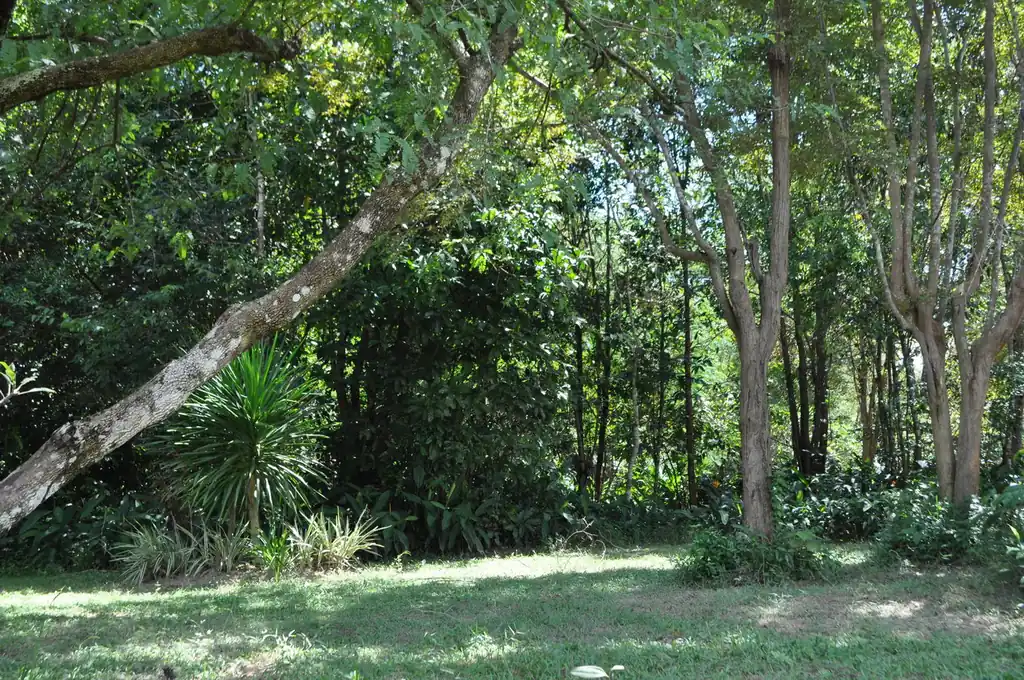 Forest hideaway for eco-tourism investors – retreat opportunity, Nakhon Phanom, photo 15