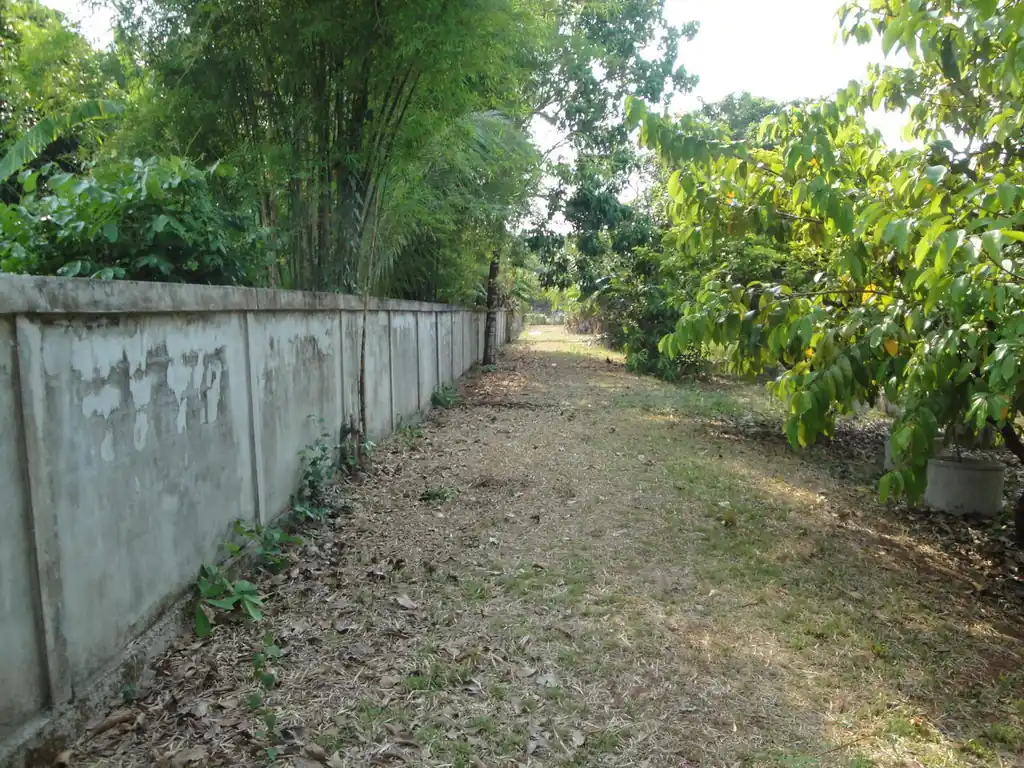 1.5 rai ready-to-build land for sale in Hang Hong, Sakon Nakhon, photo 11
