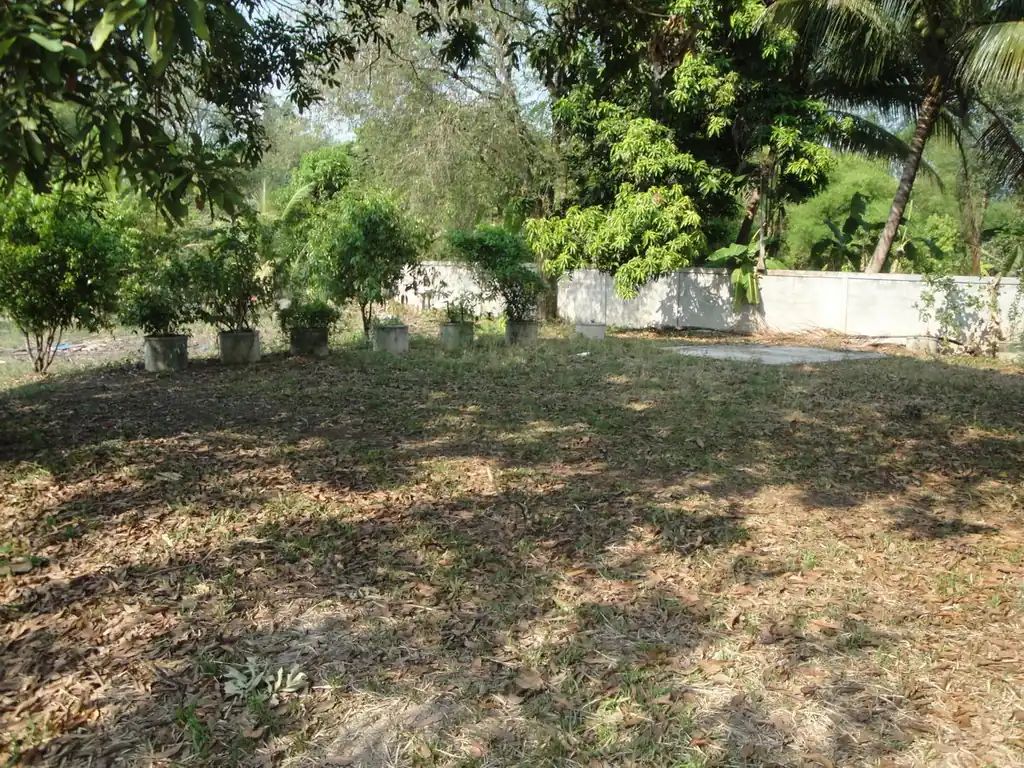 1.5 rai ready-to-build land for sale in Hang Hong, Sakon Nakhon, photo 14