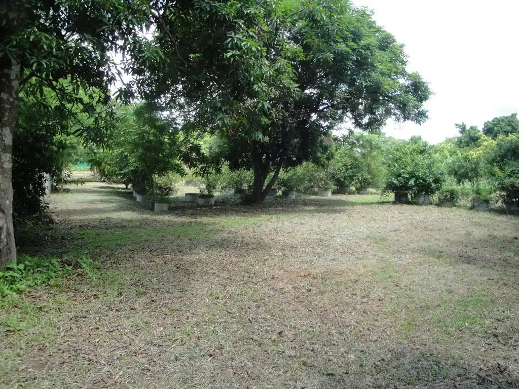 1.5 rai ready-to-build land for sale in Hang Hong, Sakon Nakhon, photo 15