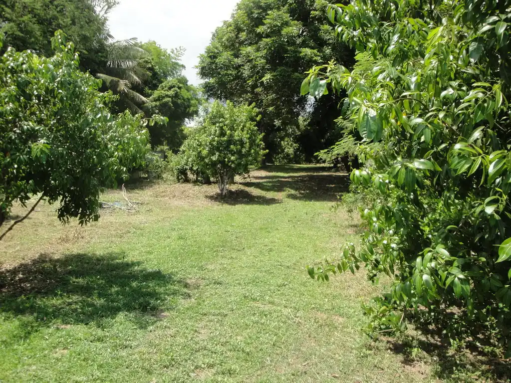 1.5 rai ready-to-build land for sale in Hang Hong, Sakon Nakhon, photo 3