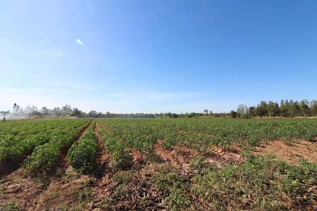 30 rai of prime land for sale, Nong Han, Udon Thani, photo 11