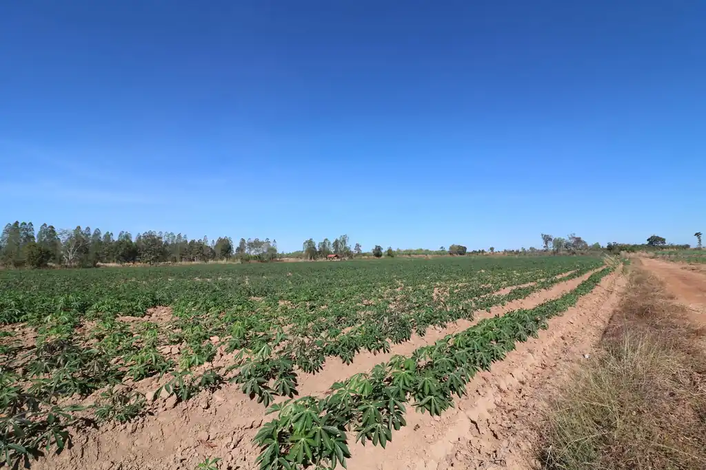30 rai of prime land for sale, Nong Han, Udon Thani, photo 13