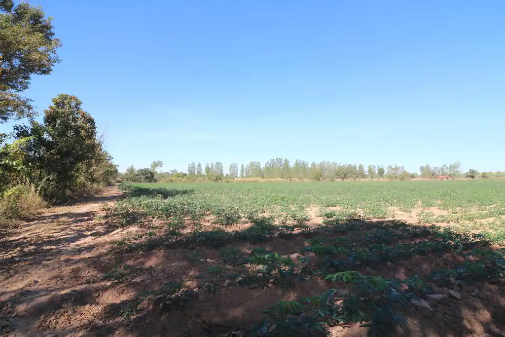 30 rai of prime land for sale, Nong Han, Udon Thani, photo 15