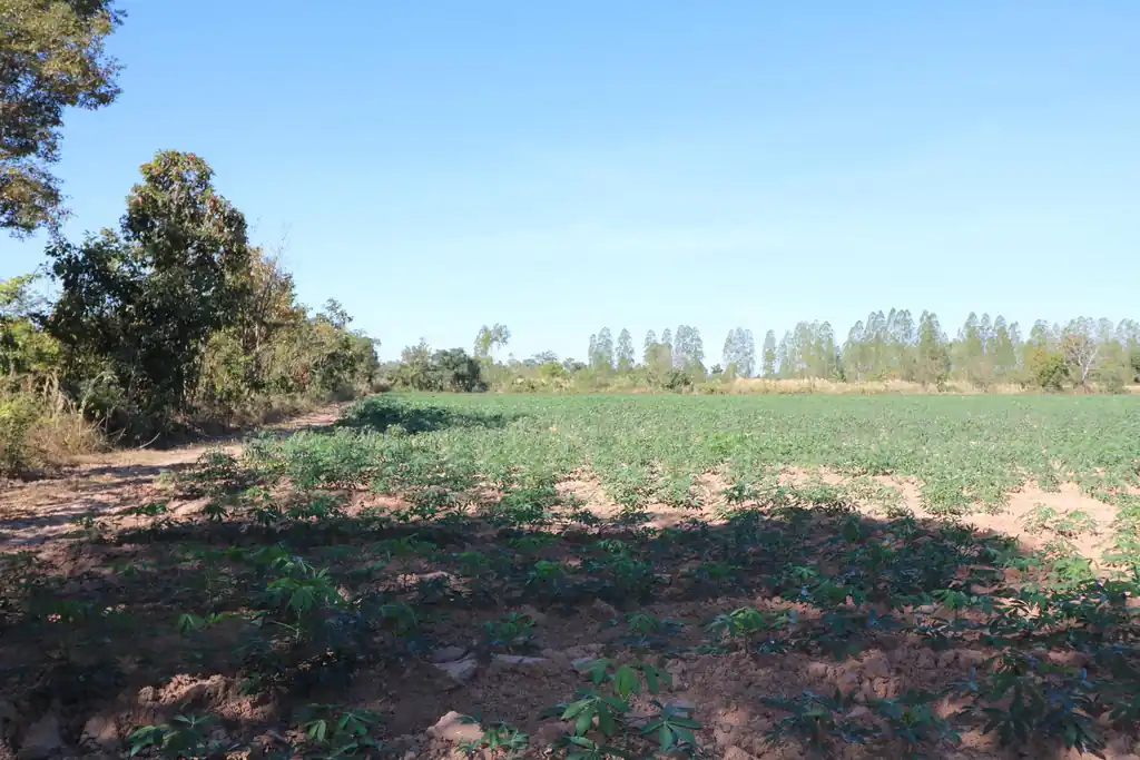30 rai of prime land for sale, Nong Han, Udon Thani, photo 17