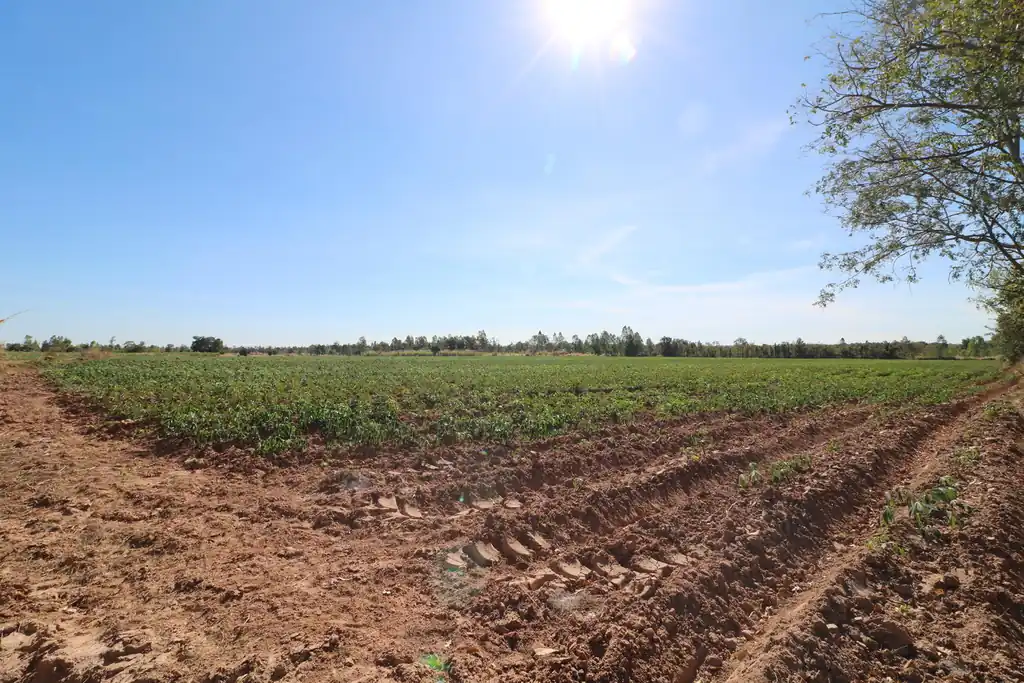 30 rai of prime land for sale, Nong Han, Udon Thani, photo 18