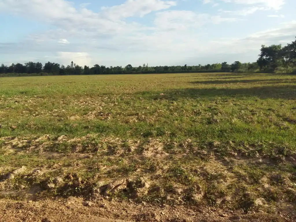 30 rai of prime land for sale, Nong Han, Udon Thani, photo 5