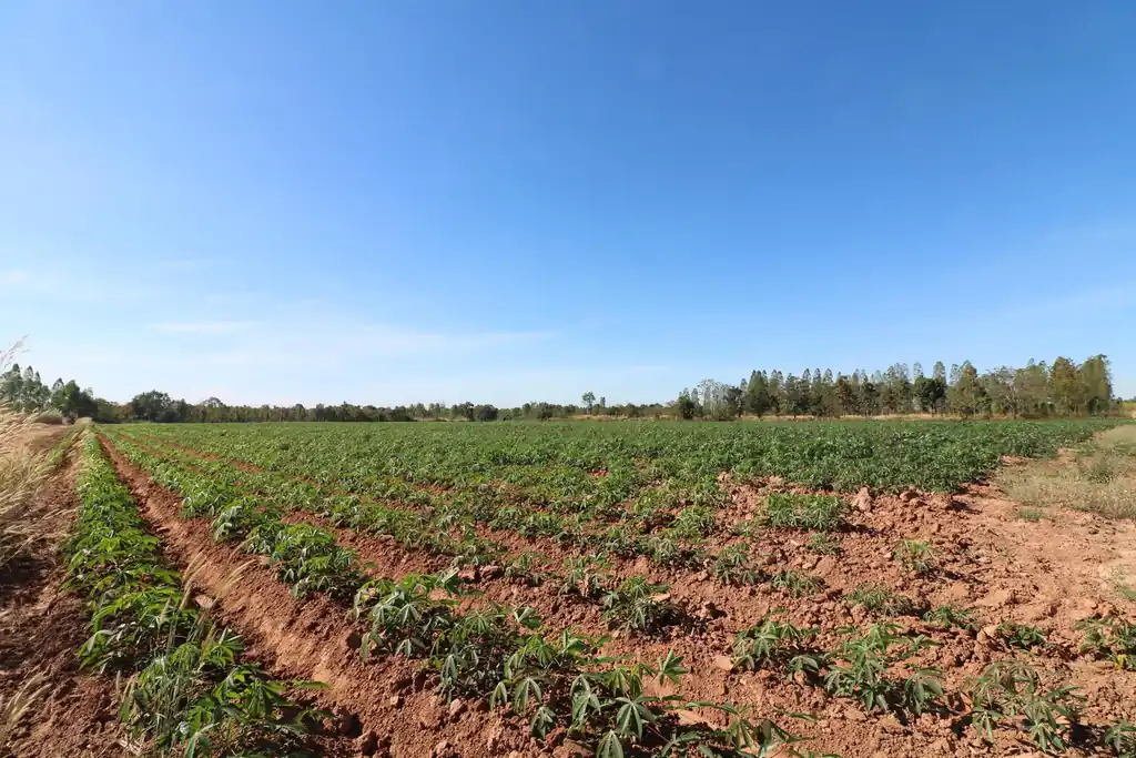 30 rai of prime land for sale, Nong Han, Udon Thani, photo 7