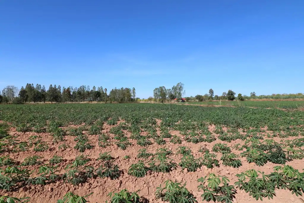 30 rai of prime land for sale, Nong Han, Udon Thani, photo 9