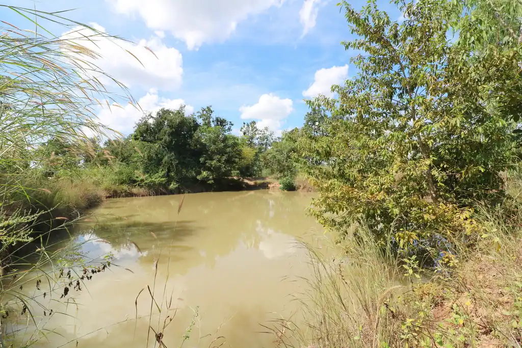 36 rai of fertile farmland for sale near Nong Bua Lam Phu, photo 13
