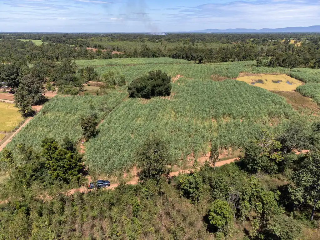 36 rai of fertile farmland for sale near Nong Bua Lam Phu, photo 4