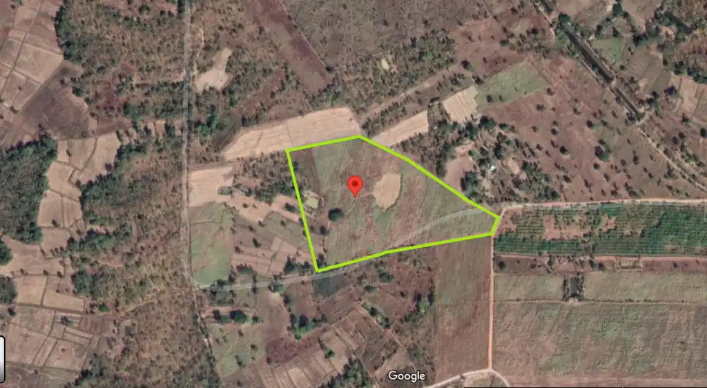 36 rai of fertile farmland for sale near Nong Bua Lam Phu, photo 5