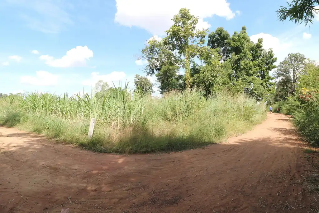 36 rai of fertile farmland for sale near Nong Bua Lam Phu, photo 7