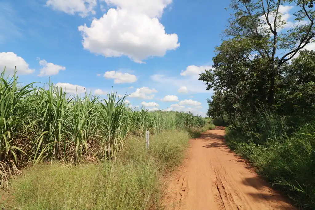 36 rai of fertile farmland for sale near Nong Bua Lam Phu, photo 8