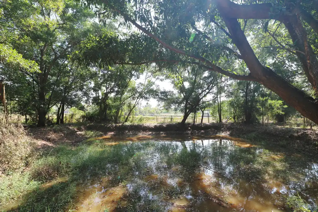 2+ rai leveled land plot for sale in Ban Lueam, Udon Thani, photo 13