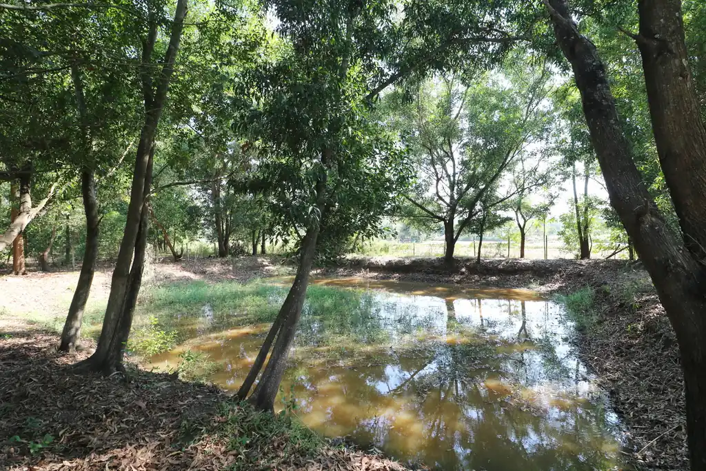 2+ rai leveled land plot for sale in Ban Lueam, Udon Thani, photo 16