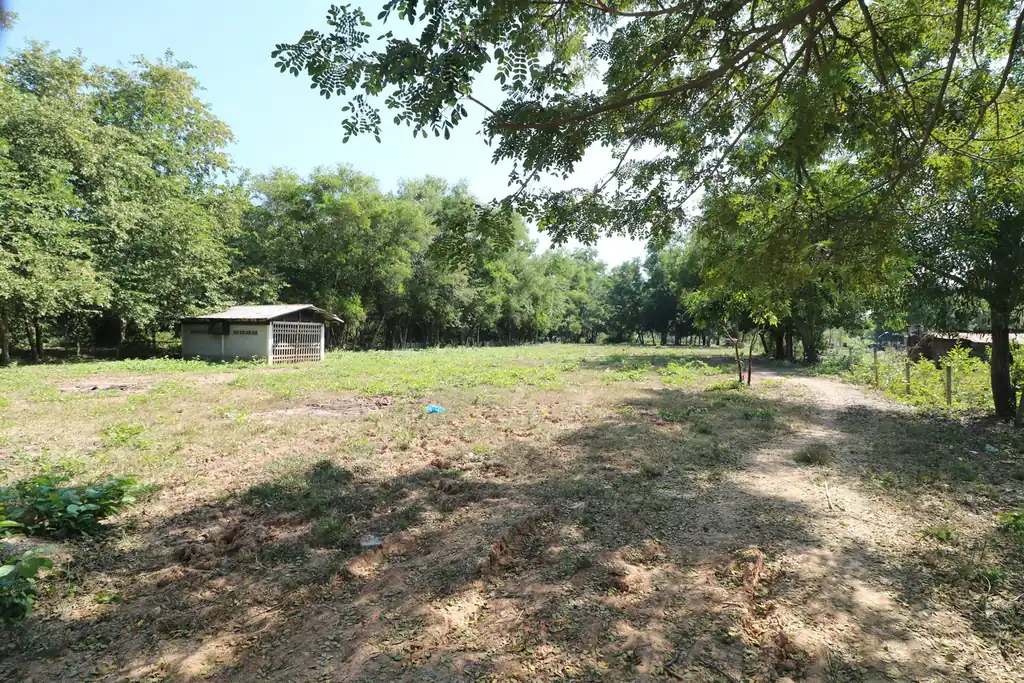 2+ rai leveled land plot for sale in Ban Lueam, Udon Thani, photo 5