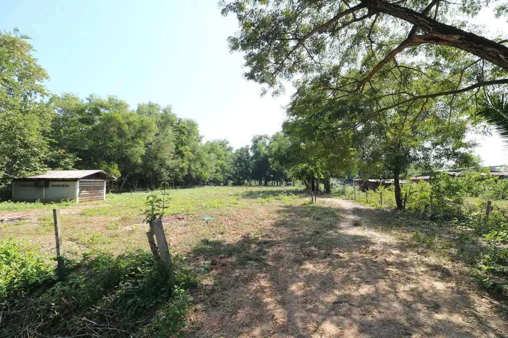 2+ rai leveled land plot for sale in Ban Lueam, Udon Thani, photo 9