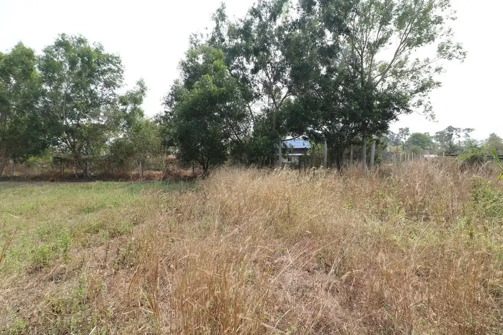 Rectangular 3 rai land block for sale in Sam Phrao, Udon Thani, photo 4