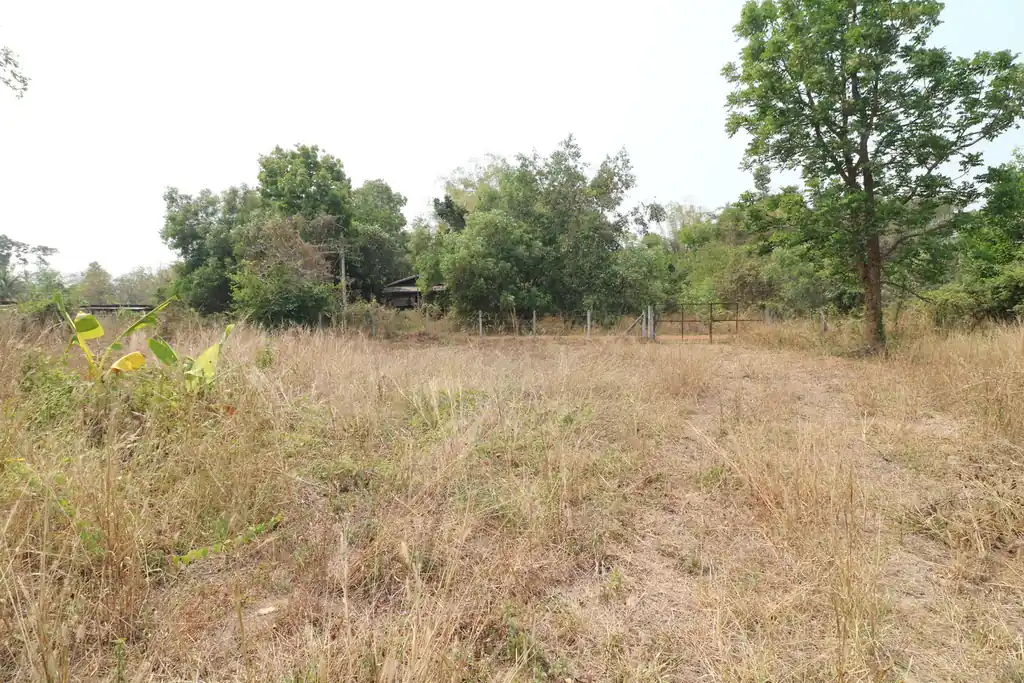 Rectangular 3 rai land block for sale in Sam Phrao, Udon Thani, photo 5