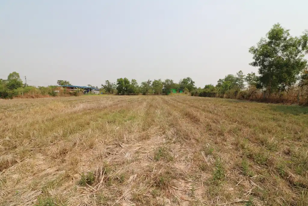 Rectangular 3 rai land block for sale in Sam Phrao, Udon Thani, photo 6