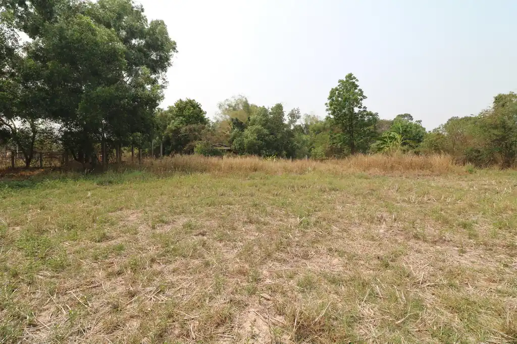 Rectangular 3 rai land block for sale in Sam Phrao, Udon Thani, photo 7