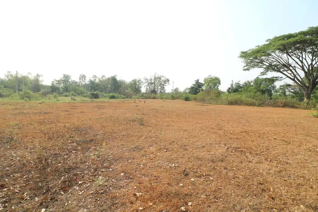 Riverside land plot for sale in Nong Na Kham, Udon Thani, photo 5