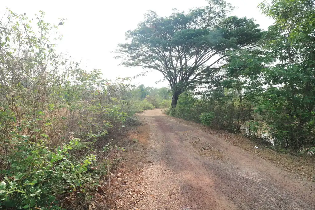 Riverside land plot for sale in Nong Na Kham, Udon Thani, photo 7