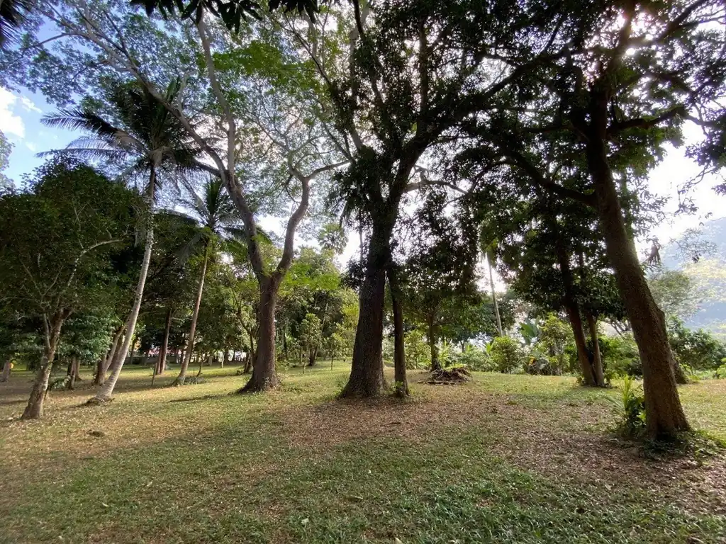 10+ rai Mekong-front land for sale in Chiang Khan, Loei, photo 6
