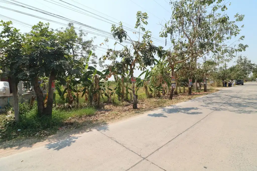 7 building plots for sale in Tha Phra, near Khon Kaen, photo 3