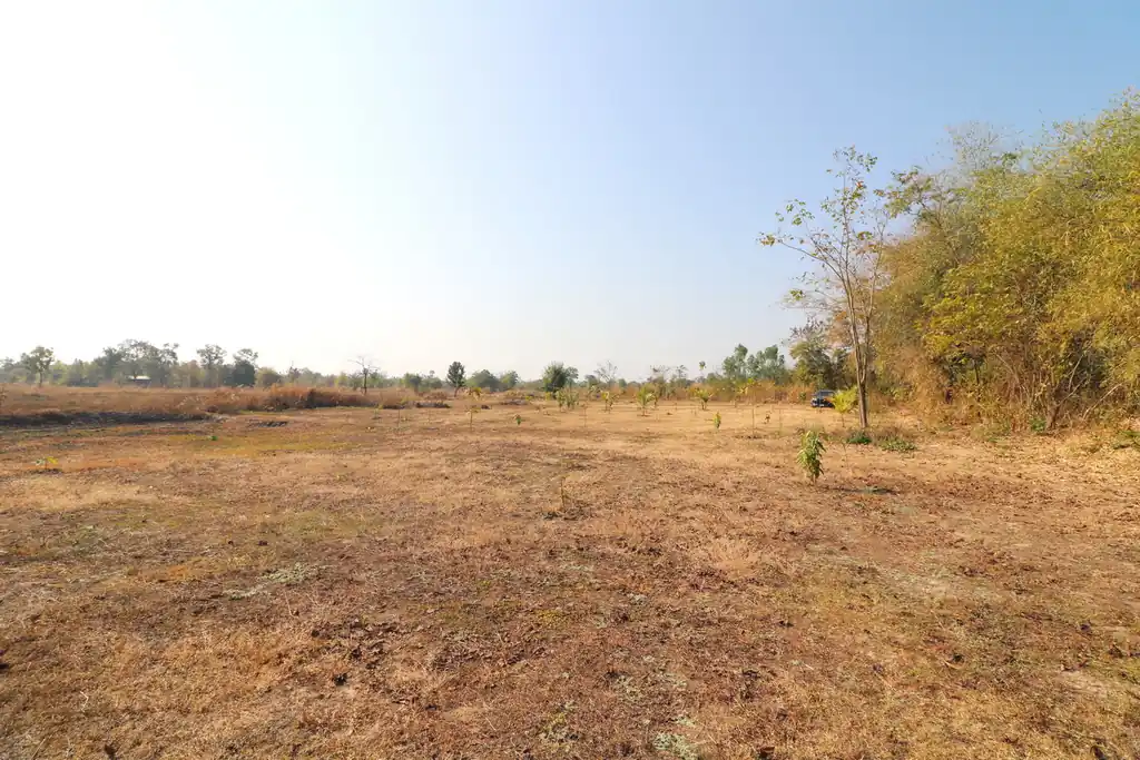 26+ rai of development land for sale in Nong Na Kham, Udon Thani, photo 5