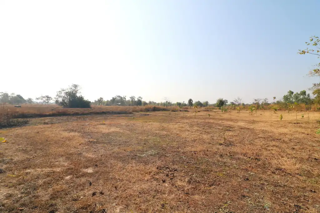 26+ rai of development land for sale in Nong Na Kham, Udon Thani, photo 6