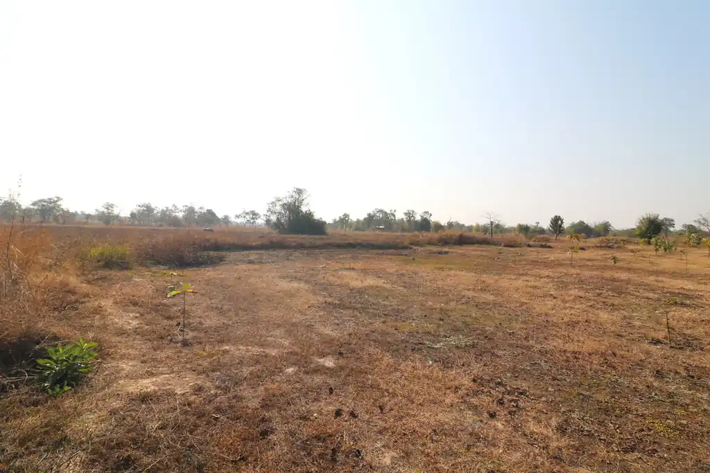 26+ rai of development land for sale in Nong Na Kham, Udon Thani, photo 7