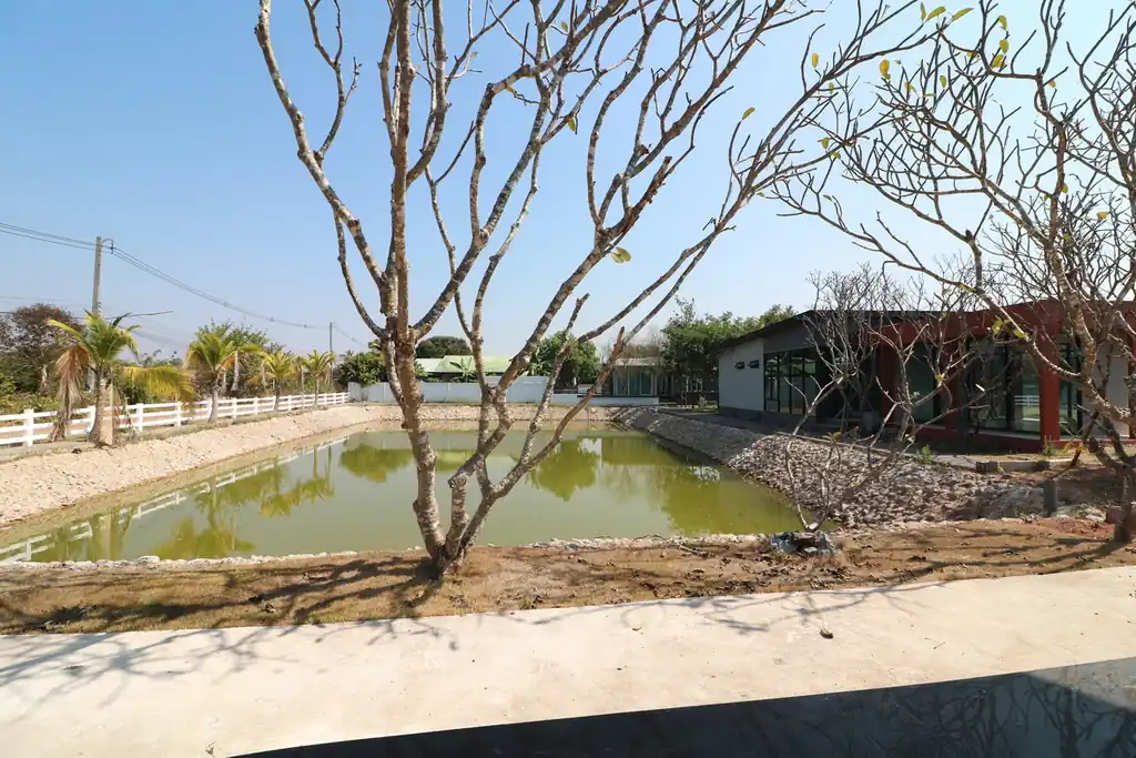 Prime 6+ rai resort or housing land for sale in Sam Phrao, Udon Thani – development opportunity, photo 11