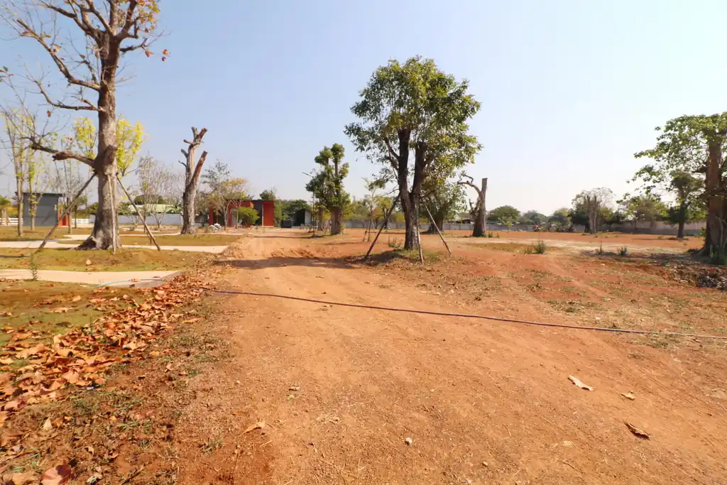 Prime 6+ rai resort or housing land for sale in Sam Phrao, Udon Thani – development opportunity, photo 9