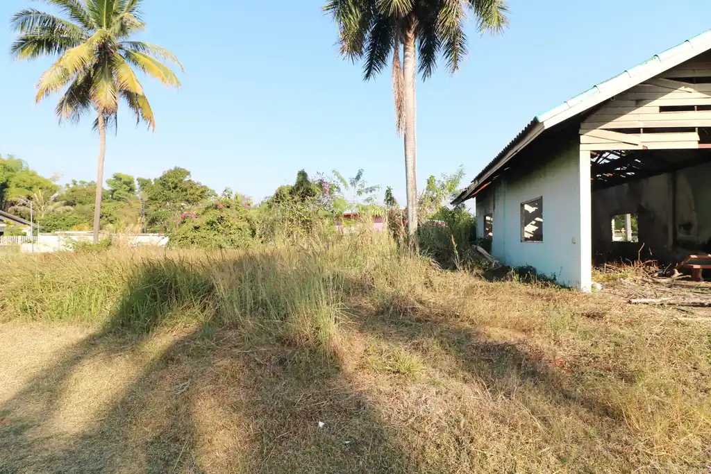 1 rai of land for sale in Kut Sa, Udon Thani, photo 10
